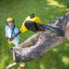 Best Tree Removal Services  in Southern Gateway, VA